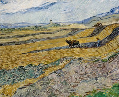 Eingezäuntes Feld mit Pflüger von Vincent van Gogh